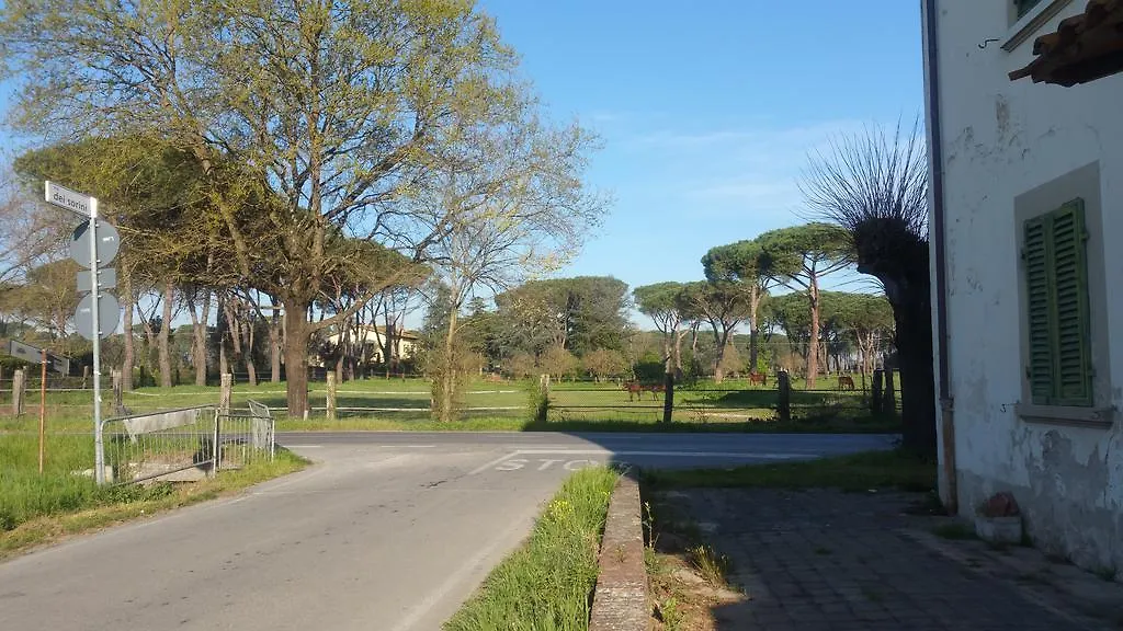 Ulivo Della Querce Villa Querce  Holiday home