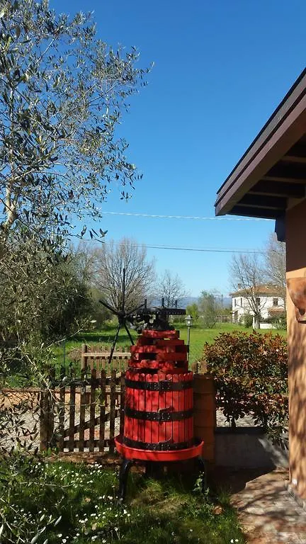 Holiday home Ulivo Della Querce Villa Querce  Italy