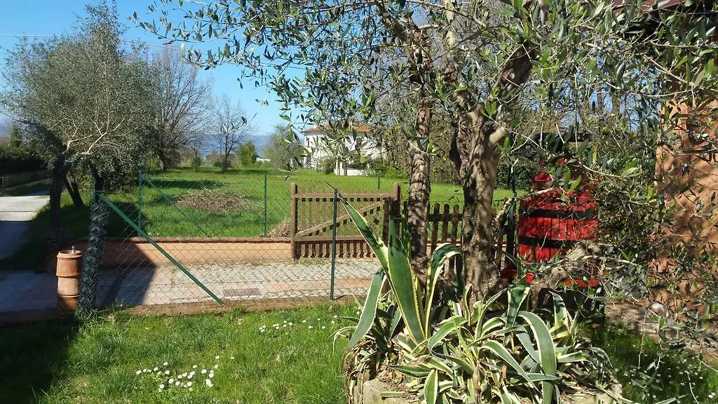 Ulivo Della Querce Villa Querce  Querce (Florence)